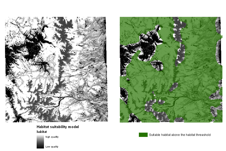 Making Connections For Wildlife – Rocky Mountain Wild