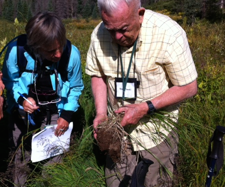 Wolf Creek Pass – So Much More Than Just Dead Trees