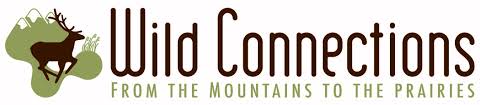 Wild Connections logo