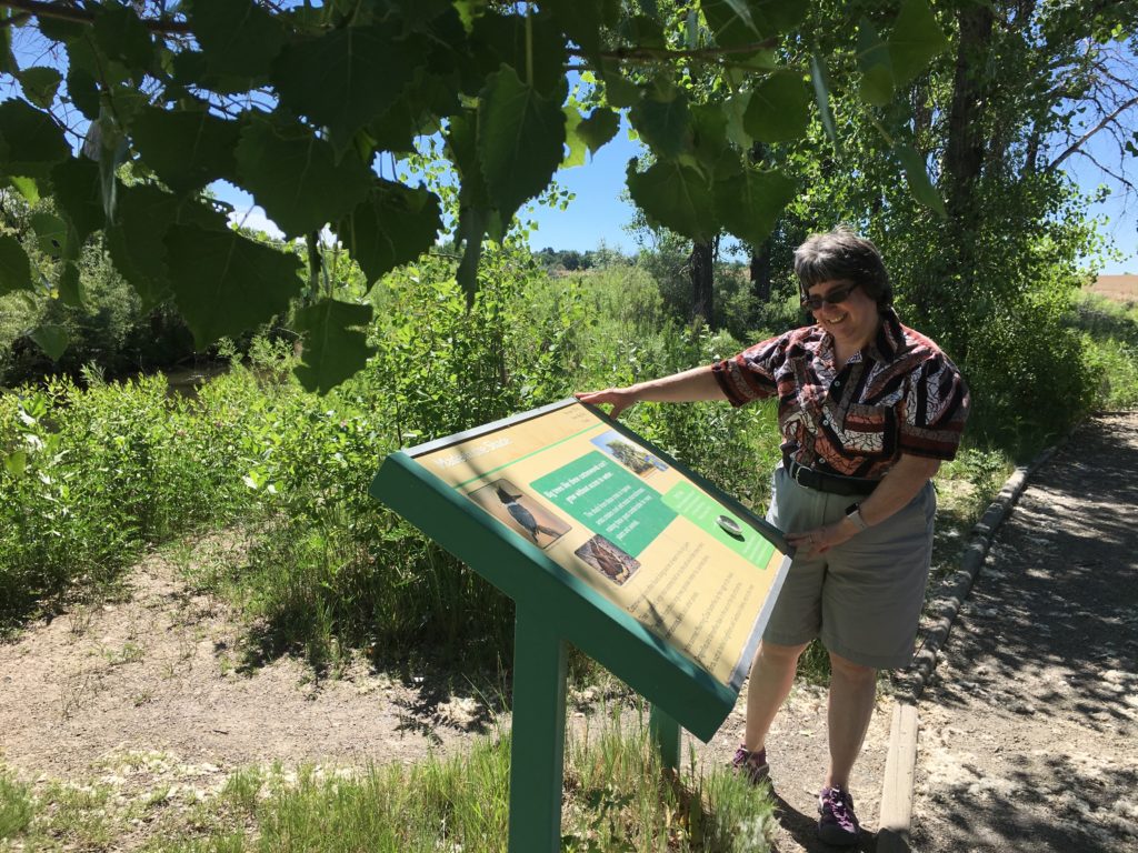Alison Studying Interpretive Sign at the Butterfly Pavillion