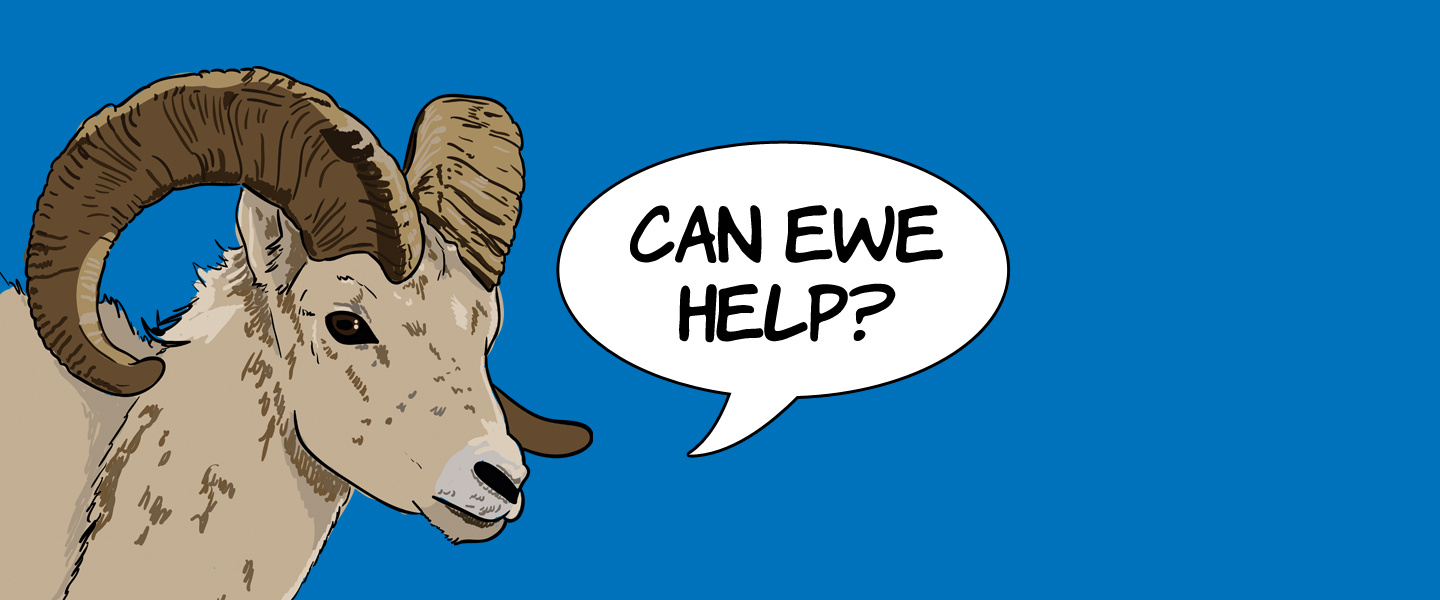 Can Ewe Help