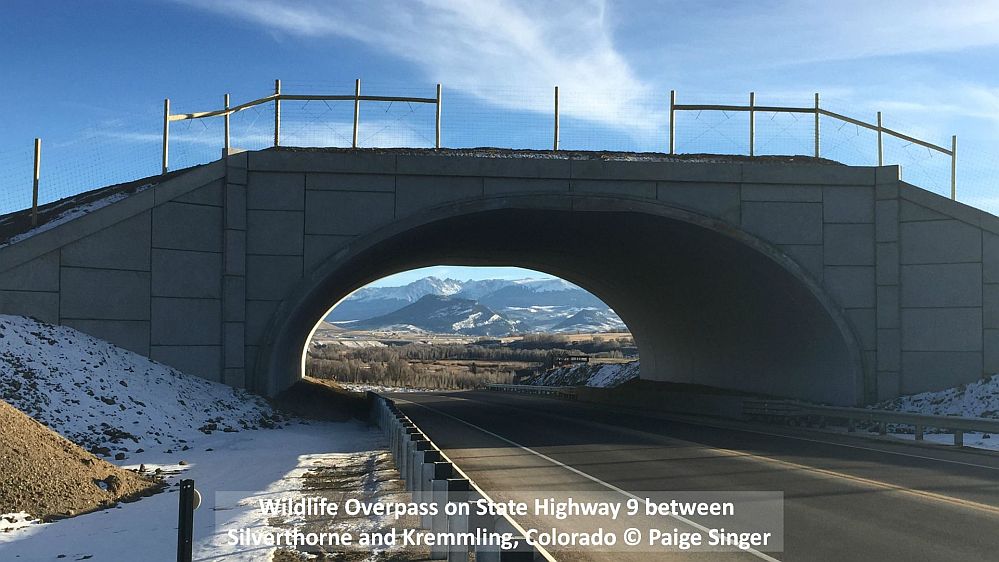 Wildlife Overpass on State Highway 9