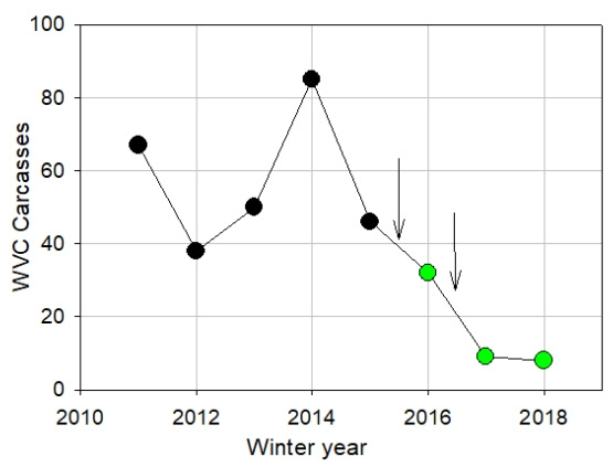 Graph showing the 90% reduction in WVCs with mule deer and elk in the project area