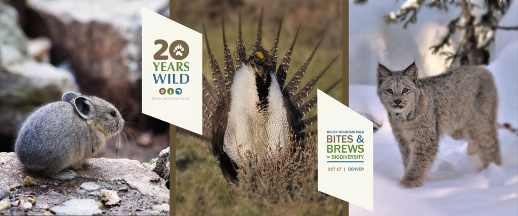 Bites & Brews for Biodiversity Banner