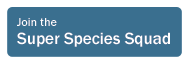 Join the Super Species Squad button
