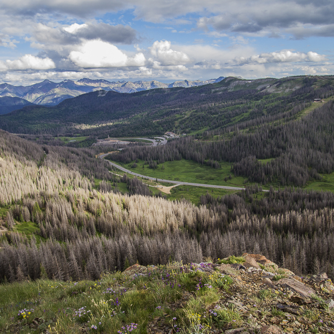 Wolf Creek Pass image