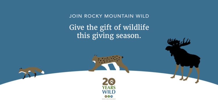 Give the gift of wildlife this giving season!
