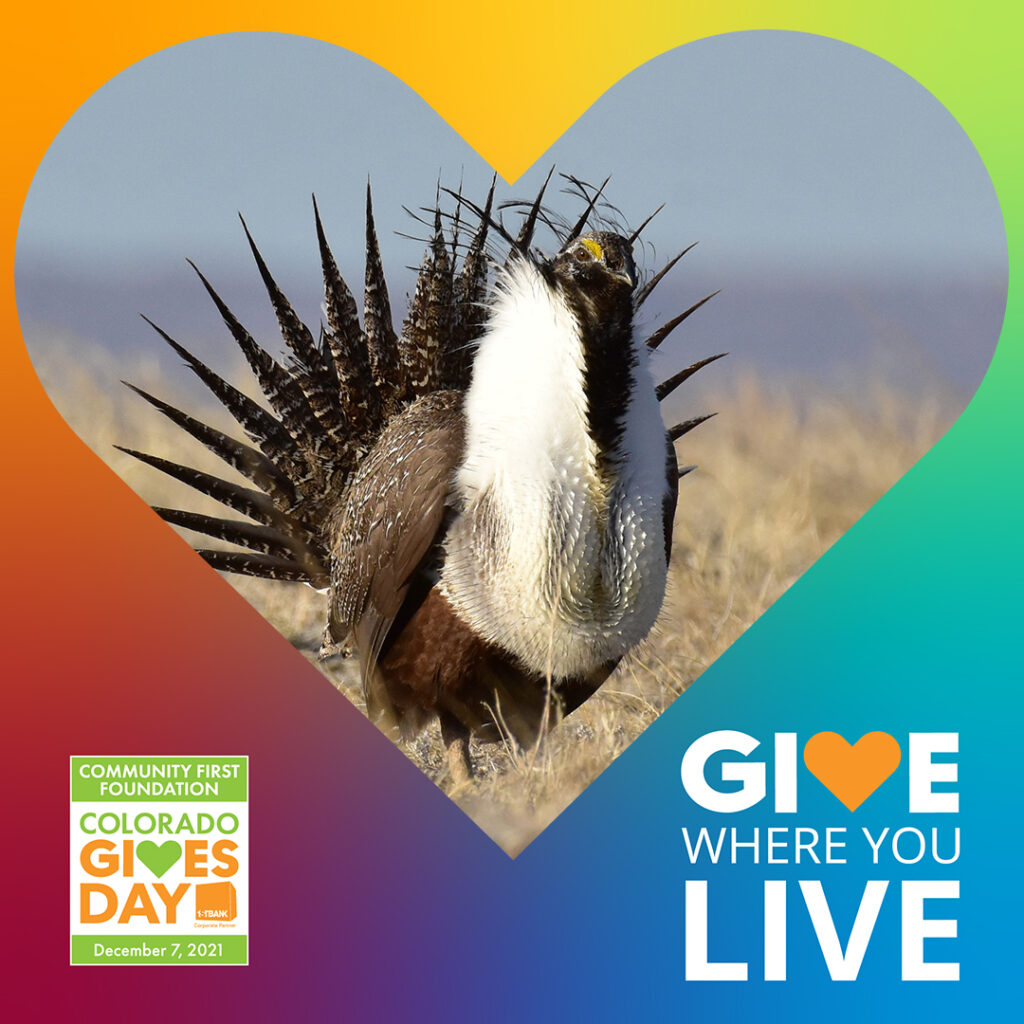 Greater sage-grouse with heart overlay