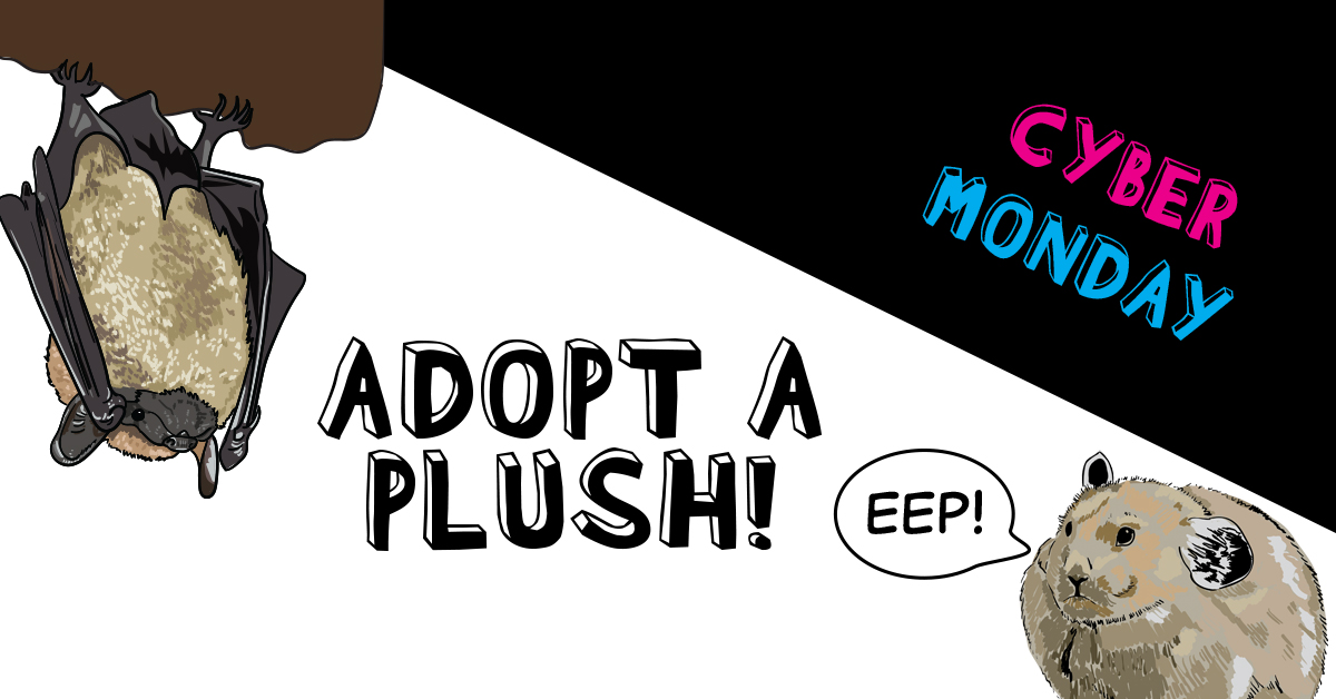 Adopt a Plush for Cyber Monday banner