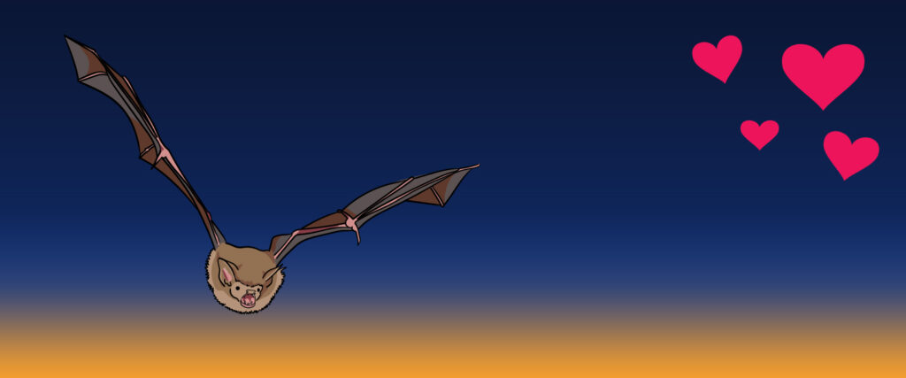 An illustration of a bat against a night sky with red hearts