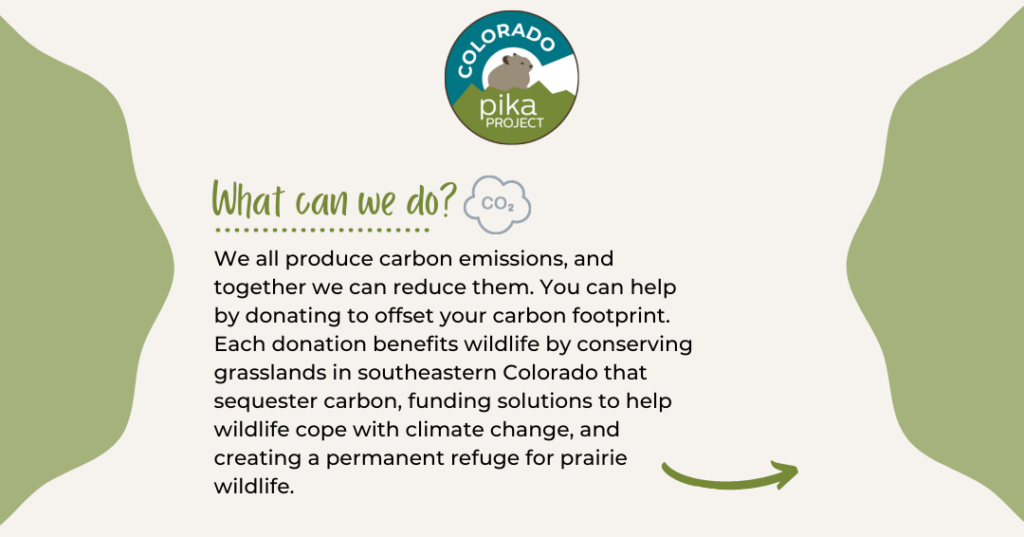 Infographic that says "What can we do? We all produce carbon emissions, and together we can reduce them. You can help by donating to offset your carbon footprint. Each donation benefits wildlife by conserving grasslands in southeastern Colorado that sequester carbon, funding solutions to help wildlife cope with climate change, and creating a permanent refuge for prairie wildlife."