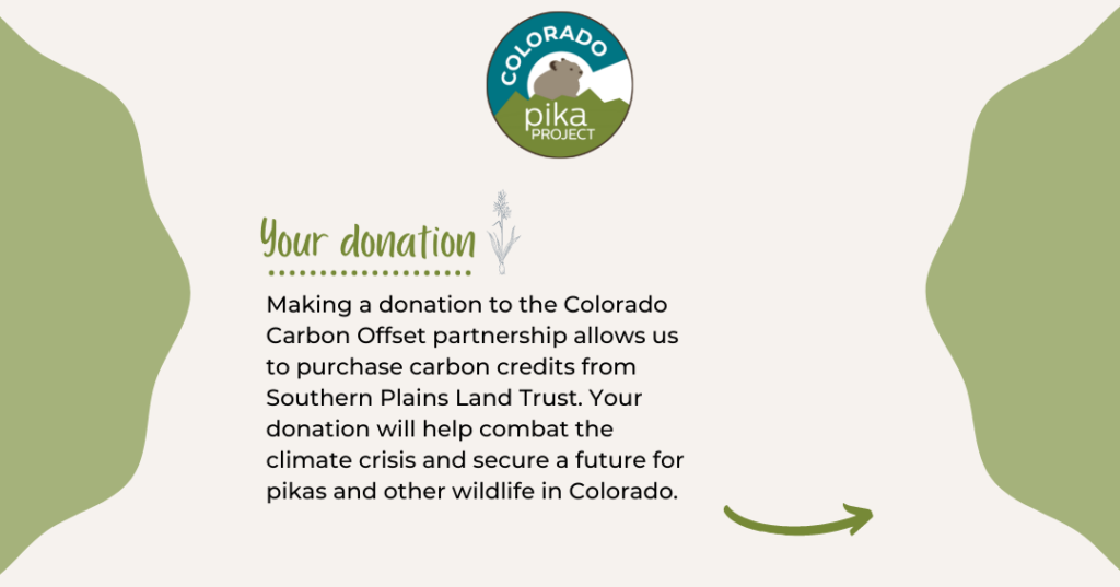 Infographic that says "Your donation. Making a donation to the Colorado Carbon Offset partnership allows us to purchase carbon credits from Southern Plains Land Trust. Your donation will help combat the climate crisis and secure a future for pikas and other wildlife in Colorado."