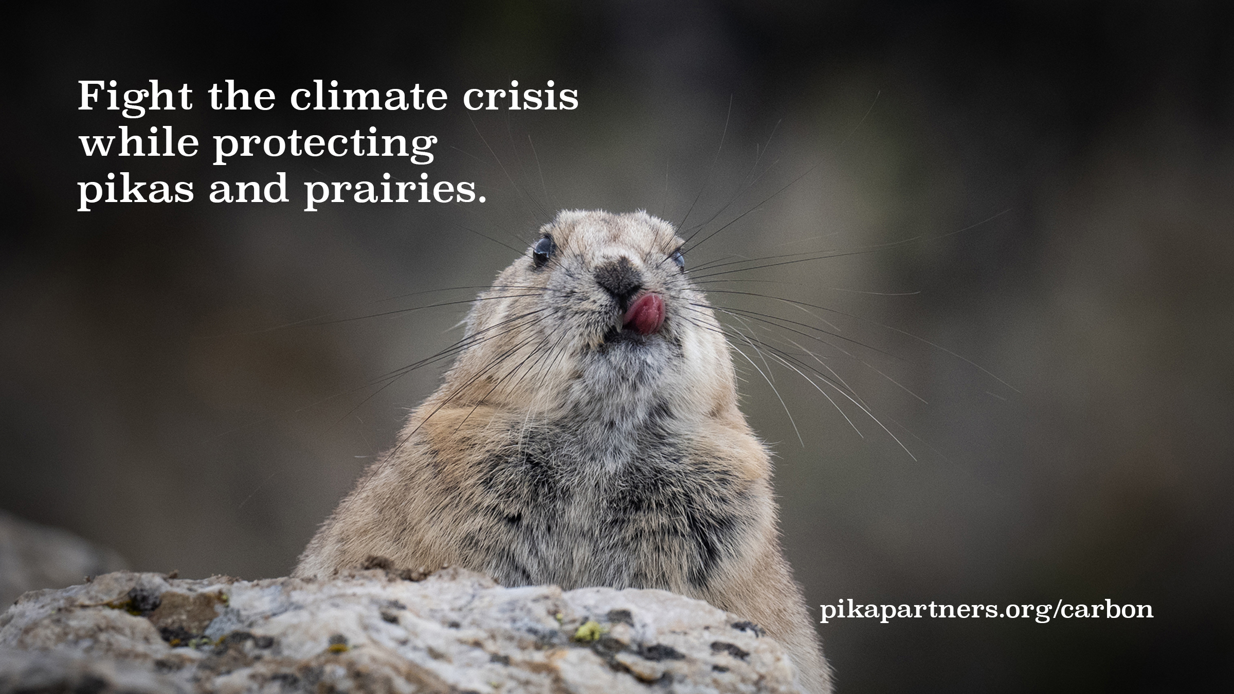 Fight the climate crisis while protecting pikas and prairies