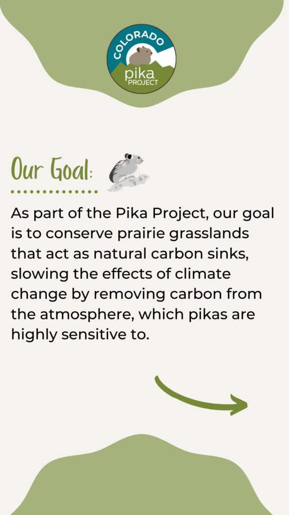 Infographic that says "Our Goal: As part of the Pika Project, our goal is to conserve prairie grasslands that act as natural carbon sinks, slowing the effects of climate change by removing carbon from the atmosphere, which pikas are highly sensitive to."
