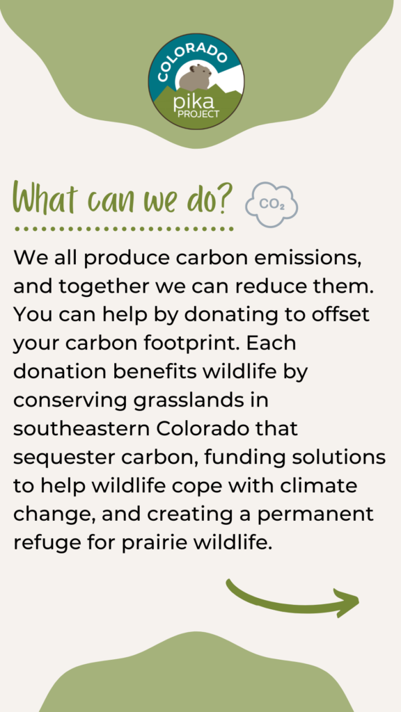 Infographic that says "What can we do? We all produce carbon emissions, and together we can reduce them. You can help by donating to offset your carbon footprint. Each donation benefits wildlife by conserving grasslands in southeastern Colorado that sequester carbon, funding solutions to help wildlife cope with climate change, and creating a permanent refuge for prairie wildlife."
