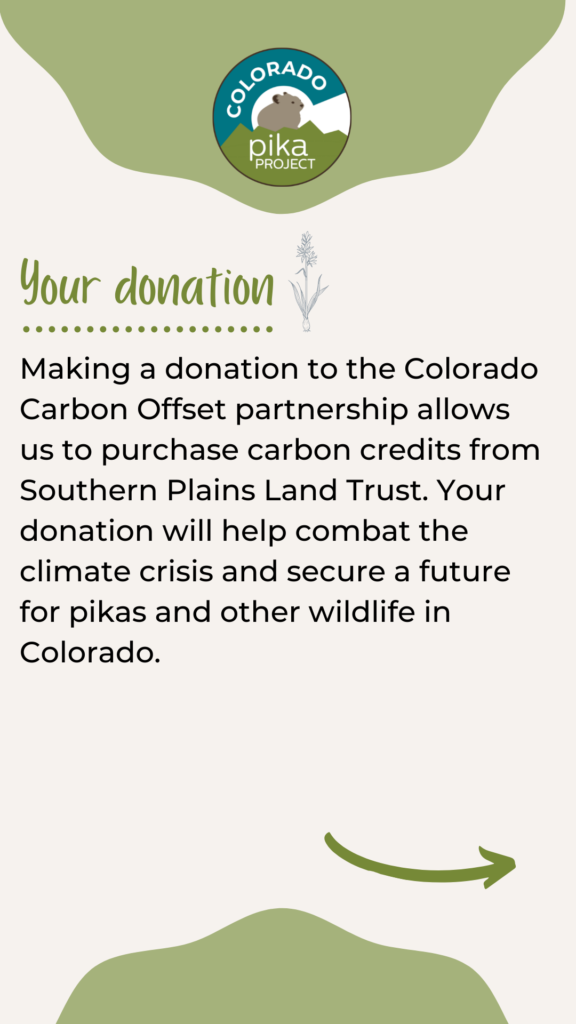 Infographic that says "Your donation. Making a donation to the Colorado Carbon Offset partnership allows us to purchase carbon credits from Southern Plains Land Trust. Your donation will help combat the climate crisis and secure a future for pikas and other wildlife in Colorado."