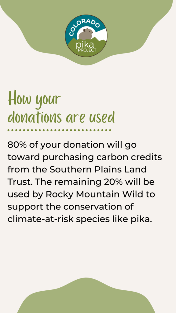 Infographic that says "How your donations are used. 80% of your donation will go toward purchasing carbon credits from the Southern Plains Land Trust. The remaining 20% will be used by Rocky Mountain Wild to support the conservation of climate-at-risk species like pika."