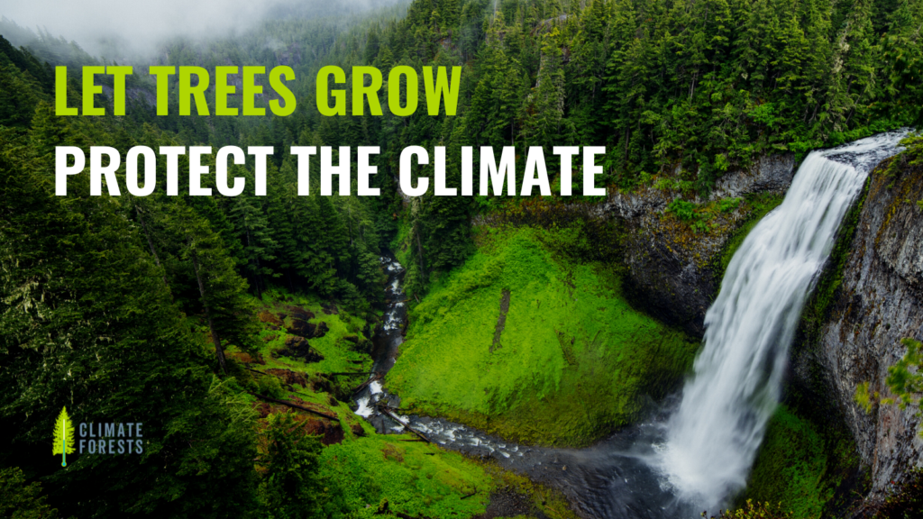 Banner about the Climate Forests campaign