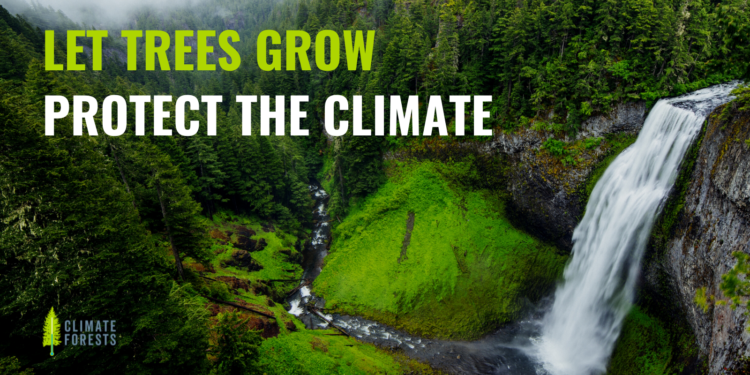 Conserve Mature and Old Growth Forests as a U.S. Climate Strategy