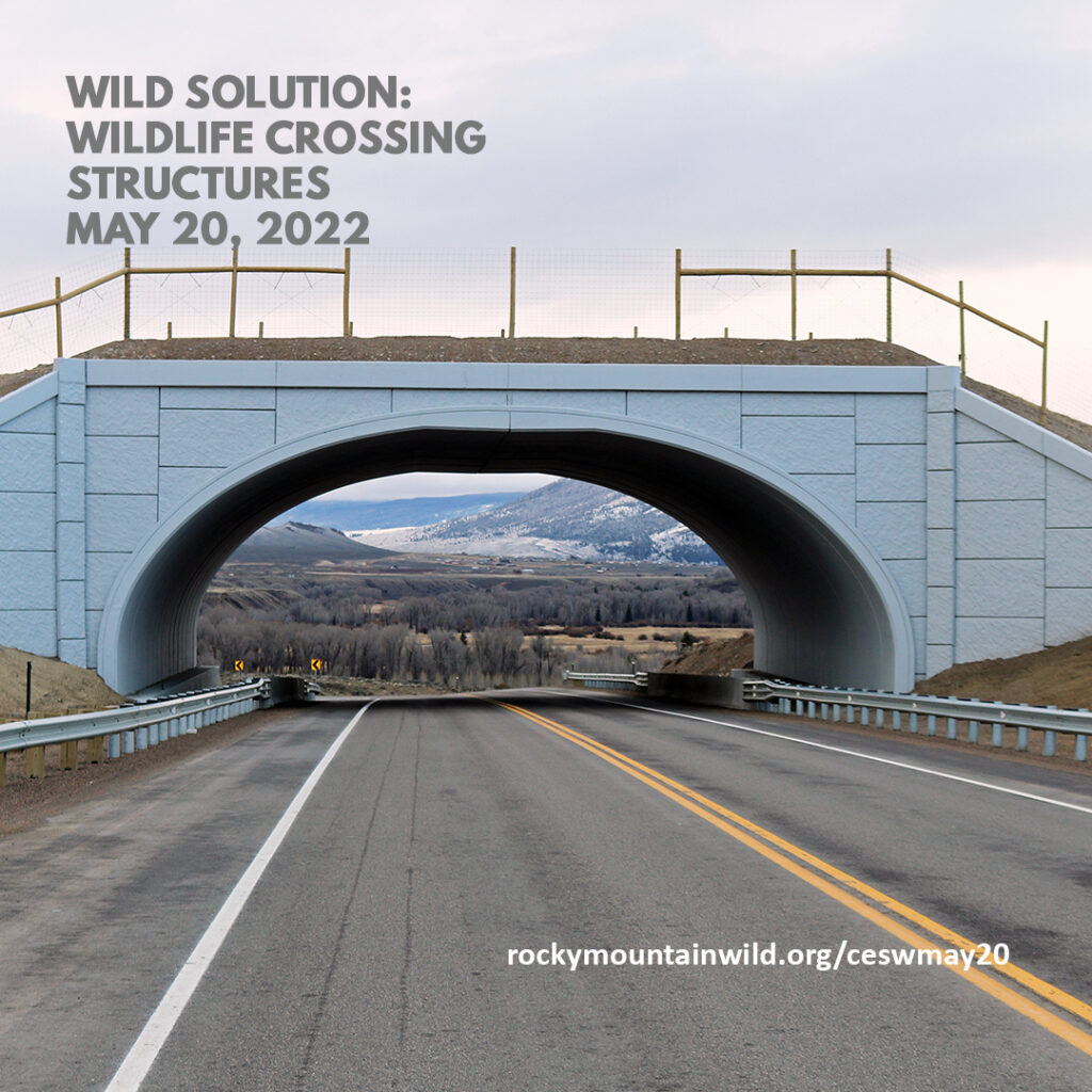 Wildlife overpass on State Highway 9 with the test "Wild Solution: Wildlife Crossing Structures, May 20, 2022, rockymountainwild.org/ceswmay20"