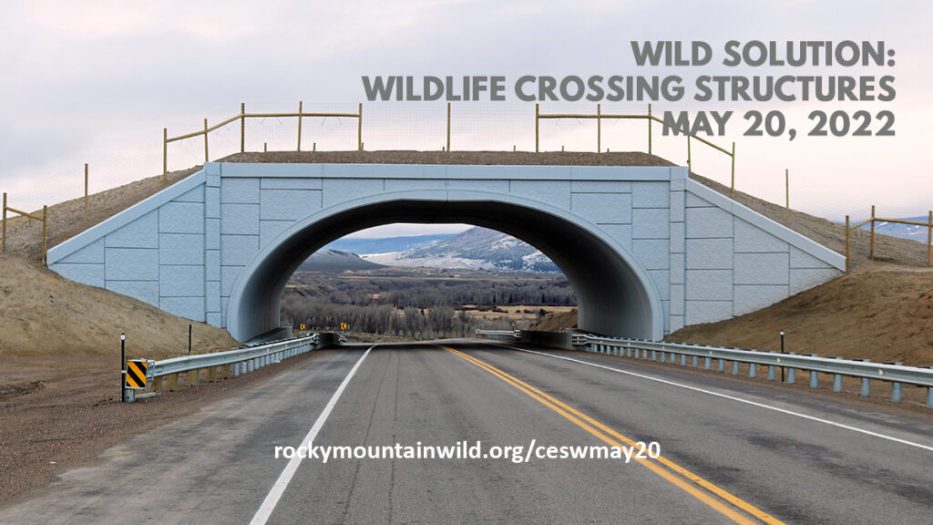 Wildlife overpass on State Highway 9 with the test "Wild Solution: Wildlife Crossing Structures, May 20, 2022, rockymountainwild.org/ceswmay20"