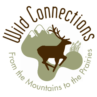 Wild Connections Round Logo