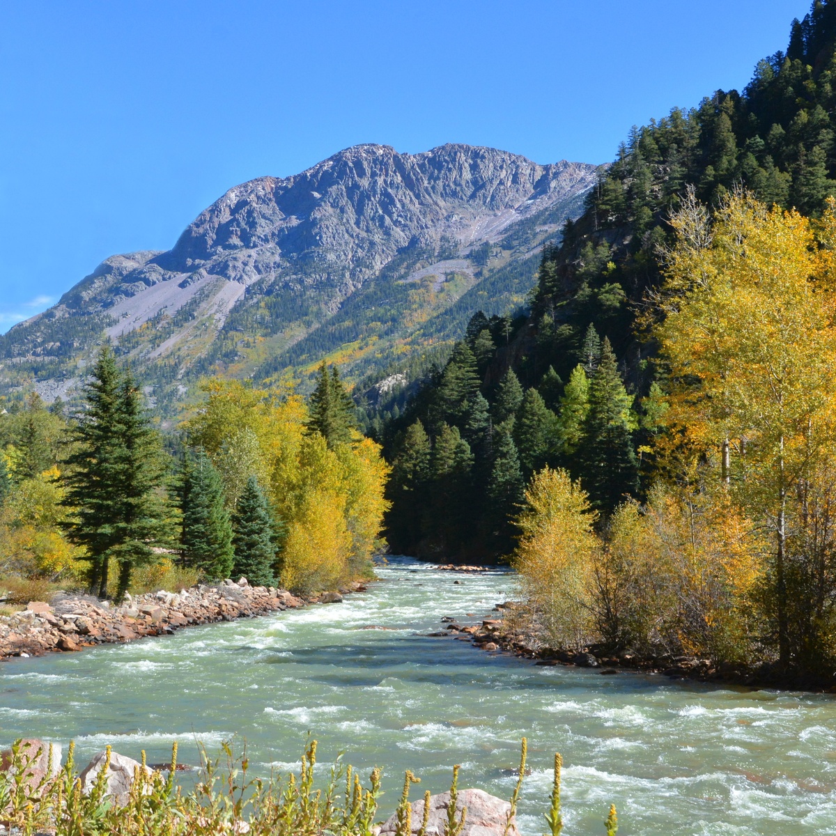 River runs between golden aspen with rocky peak in the background.